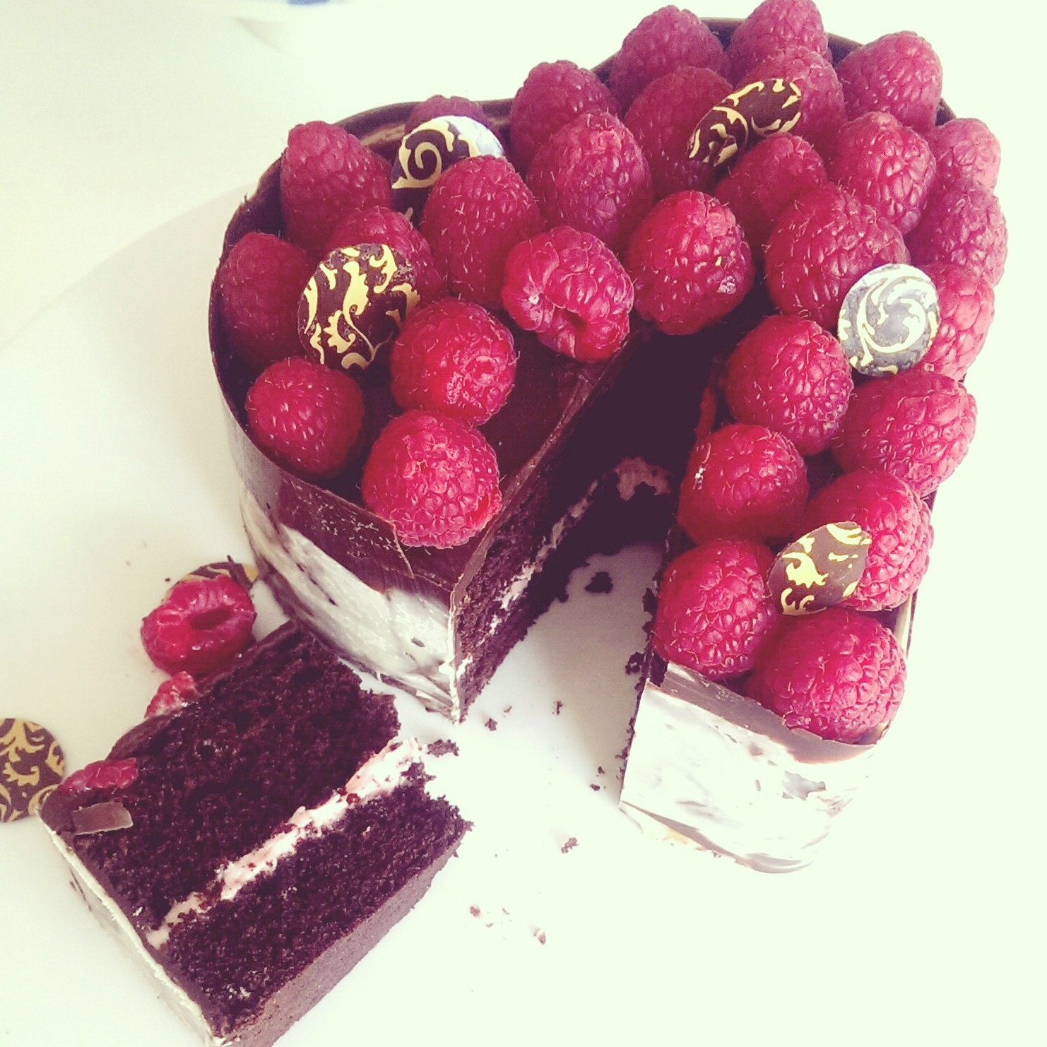 raspberry heart with transfer designs