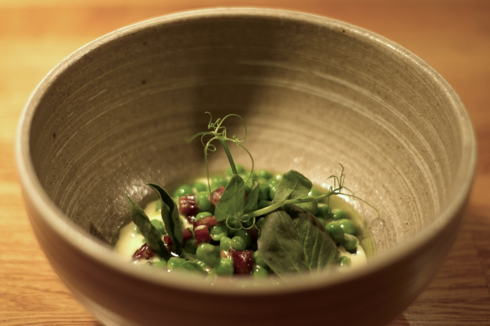 Krynkl Joro Sheffield