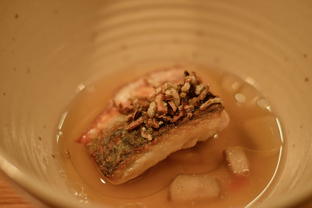 Krynkl Joro Sheffield