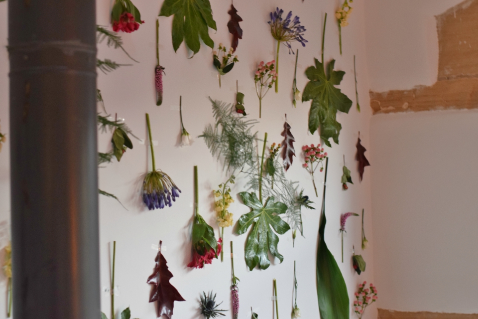 HAREWOOD FOOD & DRINK PROJECT