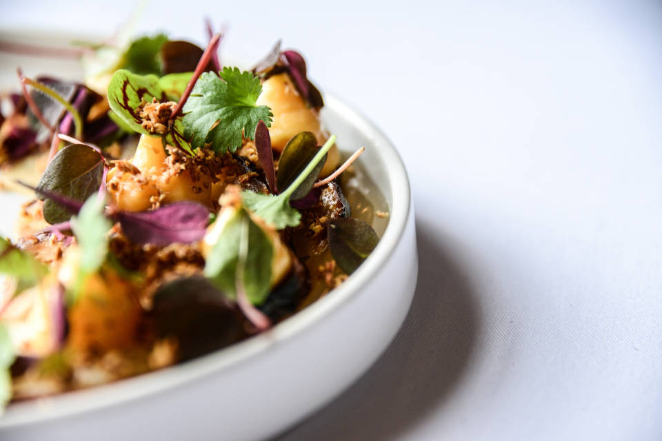 Goldsborough Hall Sample Starter