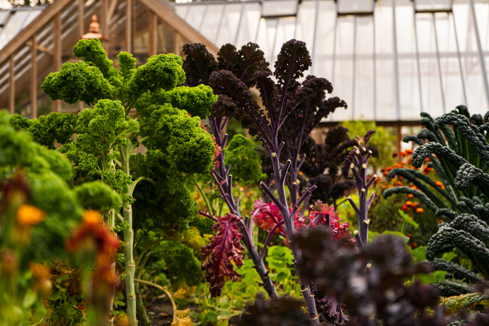 Goldsborough Hall Harrogate review - Kitchen Garden