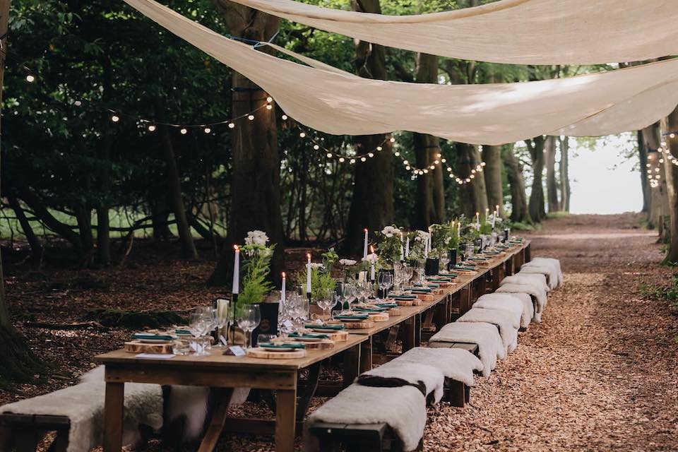 Harewood Food and Drink Project hidden harewood in the woods