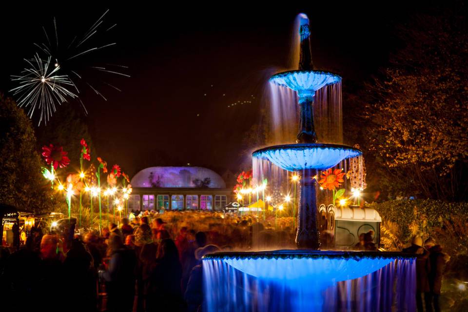 Illuminate the Gardens Sheffield Night Shot
