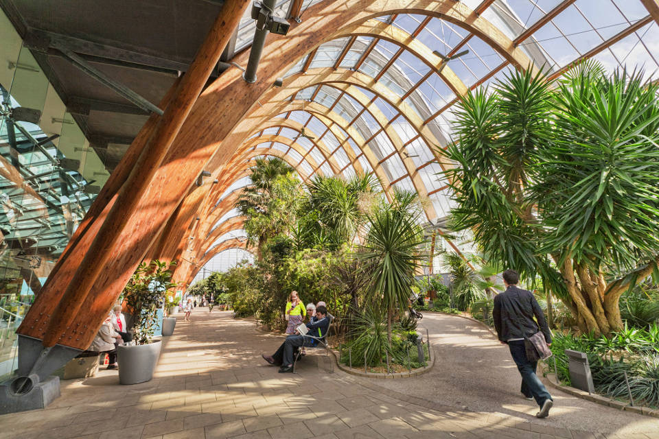 Things to do in Sheffield Winter Gardens