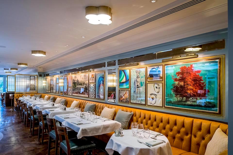 best afternoon tea in harrogate the ivy