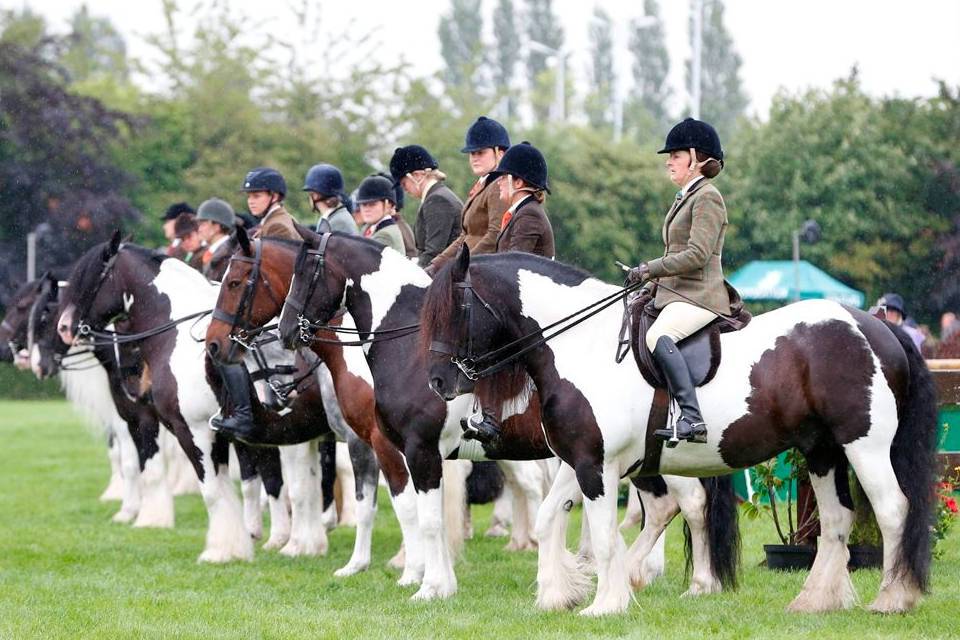 The Great Yorkshire Show Things to do in Harrogate