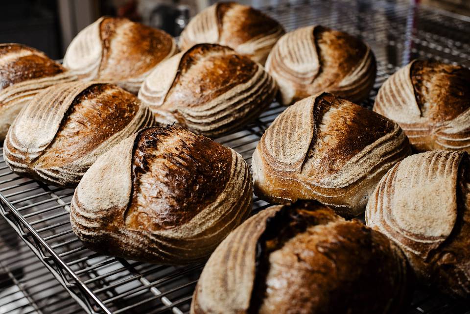 Bluebird Bakery York web