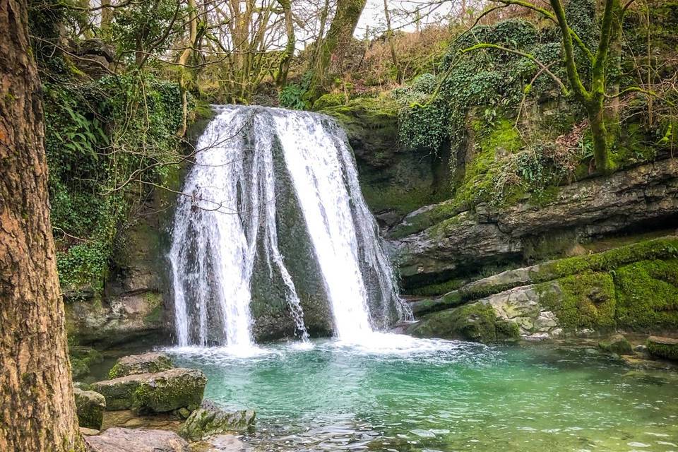 Janet's Foss Yorkshire Walks