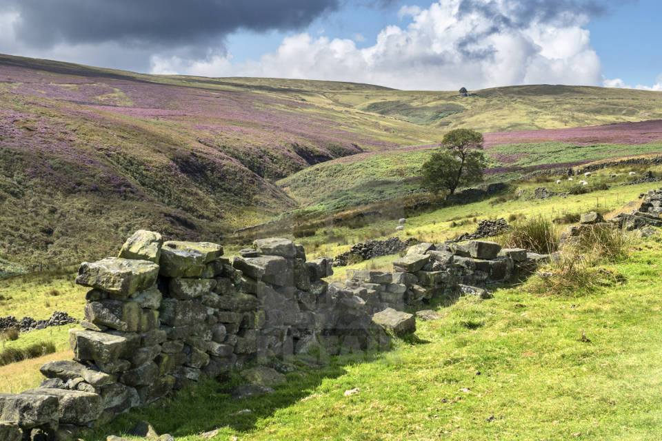 Bronte Country Yorkshire Walks