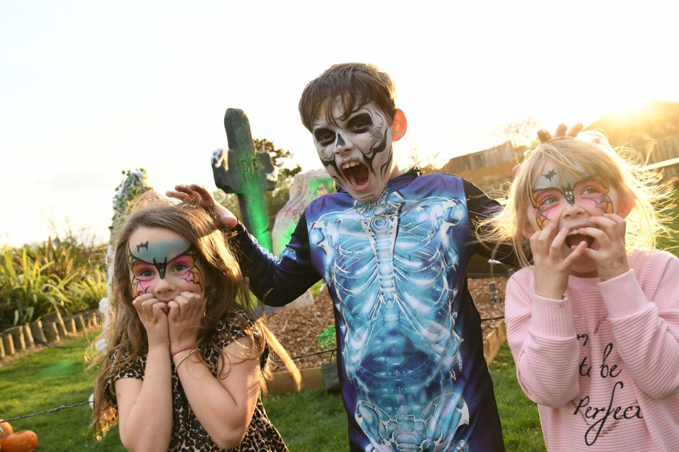 October Half Term Activities Yorkshire Wildlife Park web