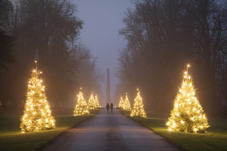Castle Howard outdoor christmas trees