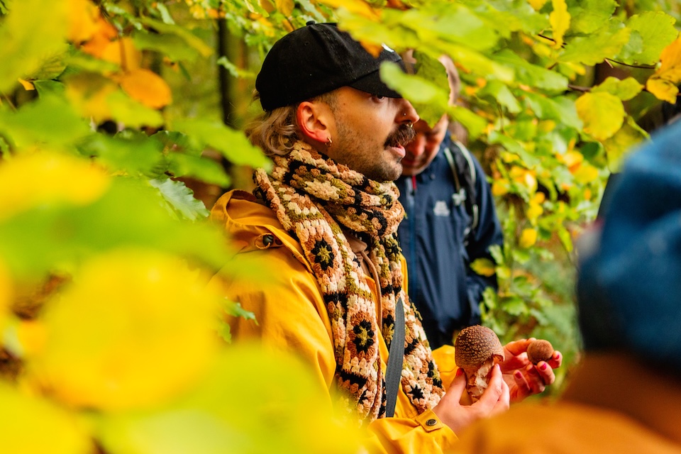 Forage against the machine - Great British Food Festival @ Harewood
