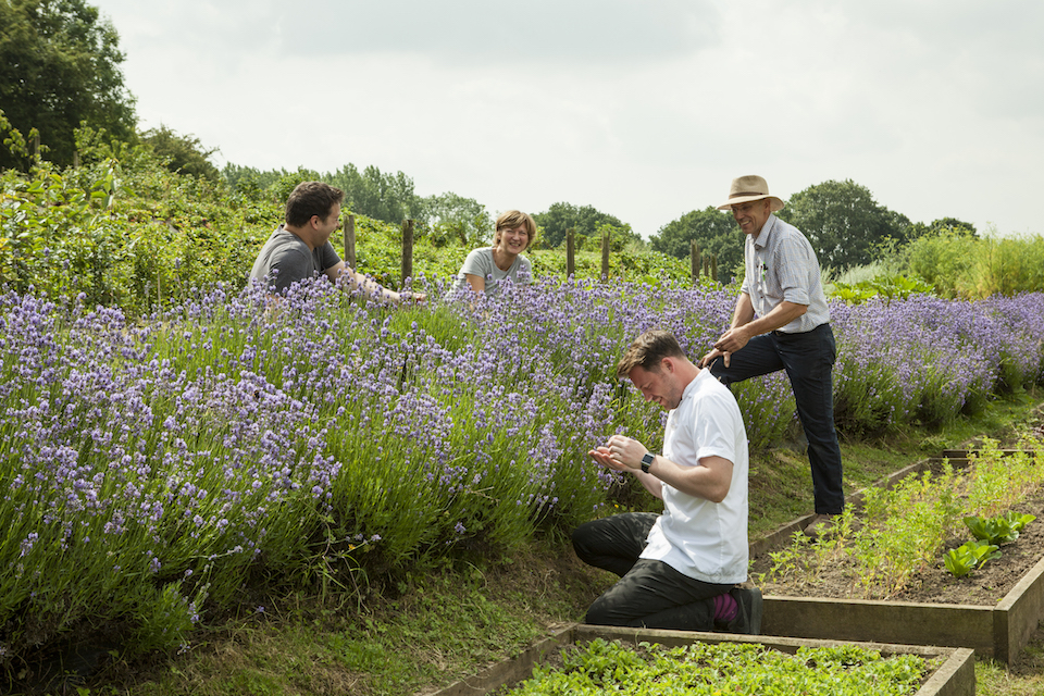 The Abbey Inn North Yorkshire Tommy Banks Garden