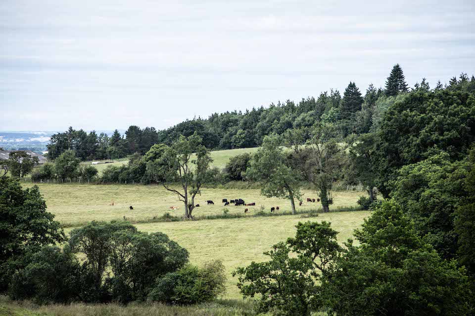 The Abbey Inn Tommy Banks North Yorkshire