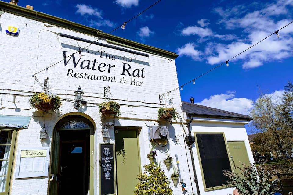 The Water Rat