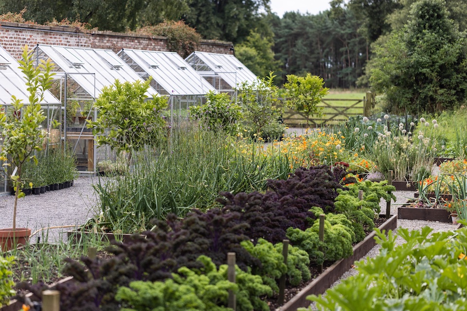 Greenhouses & raised beds at Middleton Lodge Estate