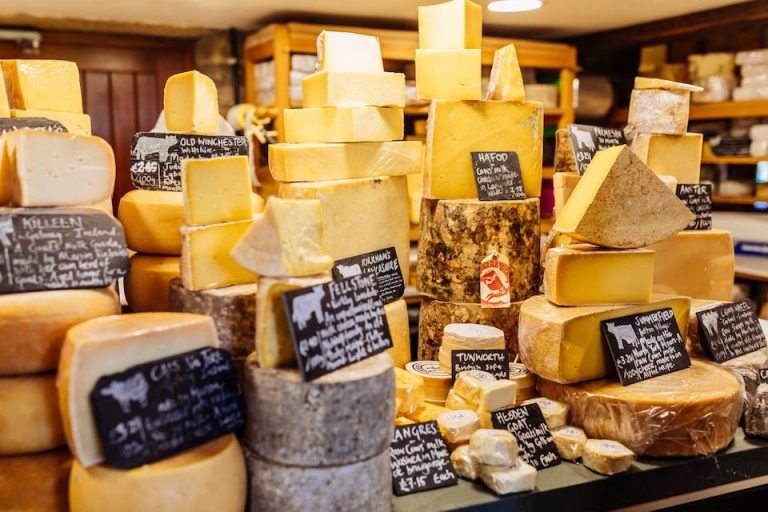 Yorkshire Dales Cheese Festival cheese samples