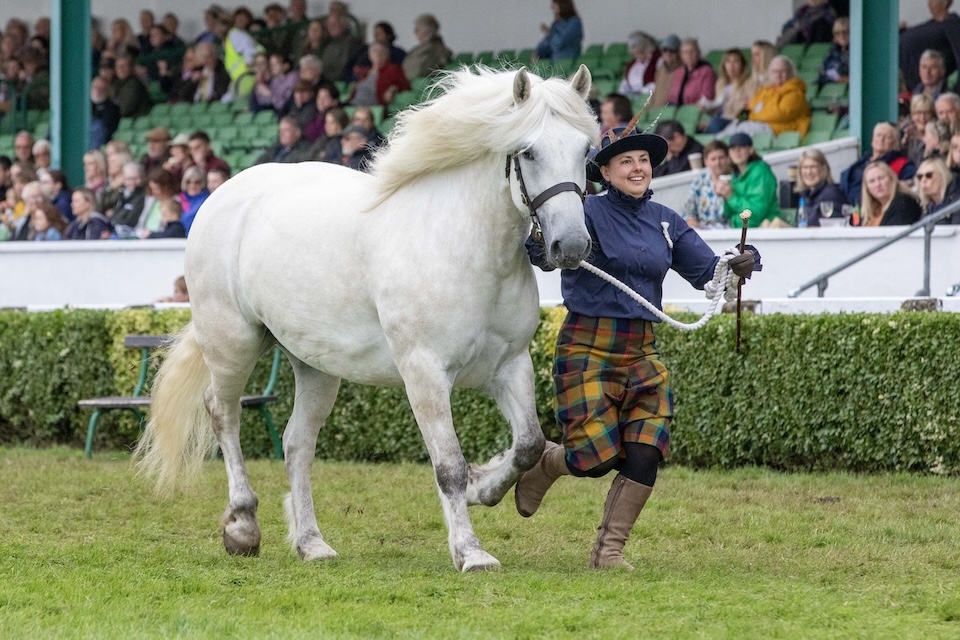 Great Yorkshire Show 2025 supreme cuddy in hand