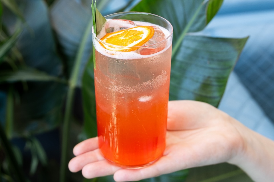 San Carlo Il Regalo Charity Cocktail 