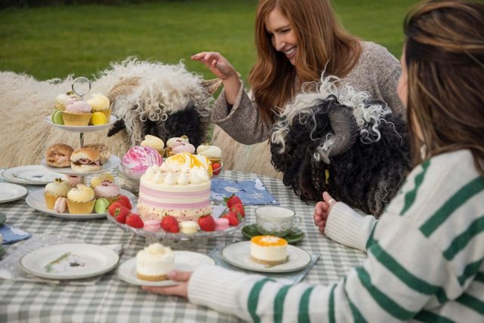 Blooming Sheep Afternoon Tea