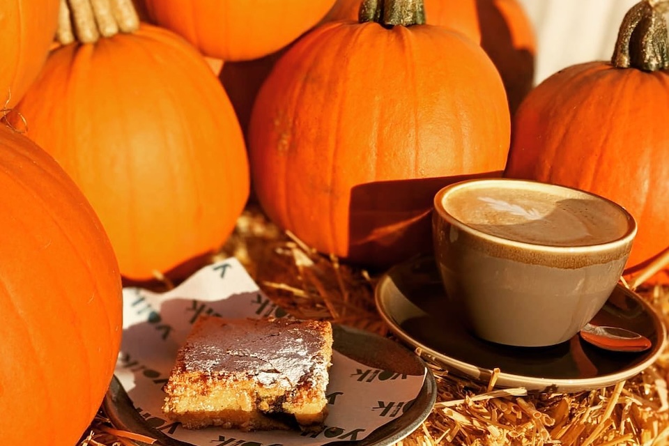 Yolk farm pumpkin picking in Yorkshire