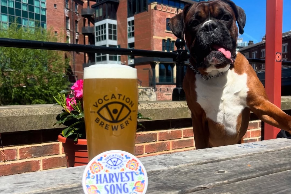 Bridge end social, waterside terrace