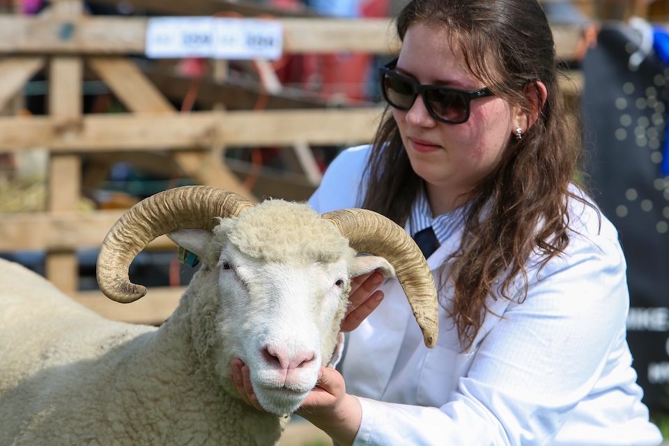 Otley Show