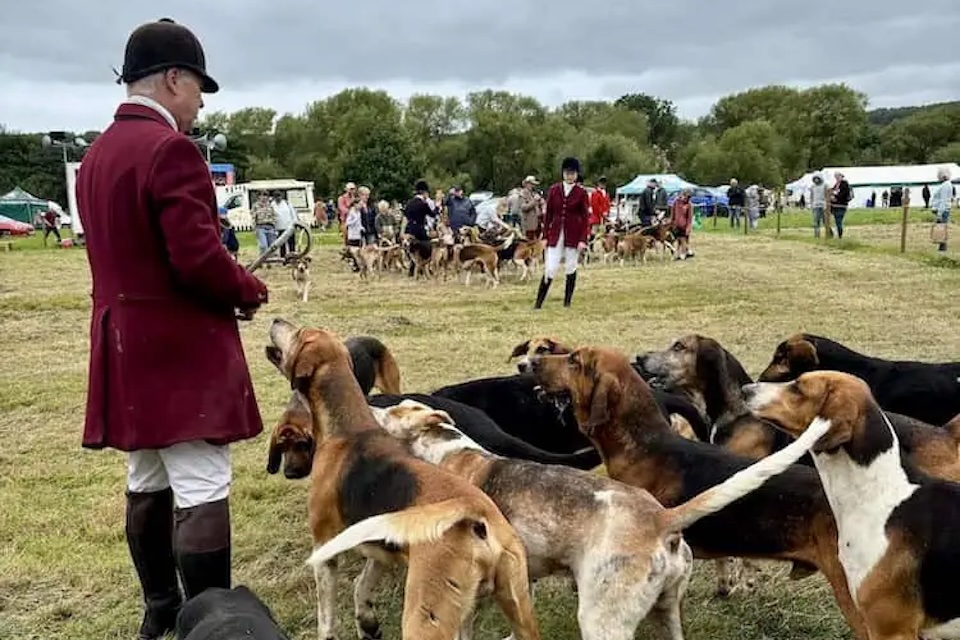 Arthington show -Things to do in Yorkshire this weekend