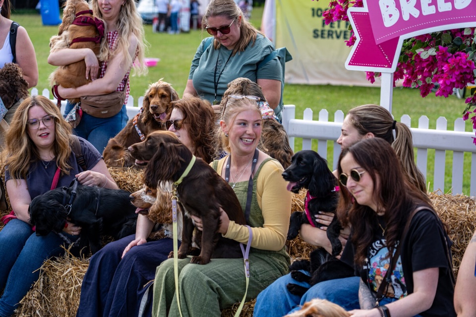 Dogfest on the farm