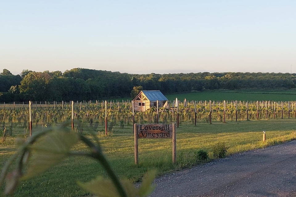 Loversall Vineyard, Doncaster
