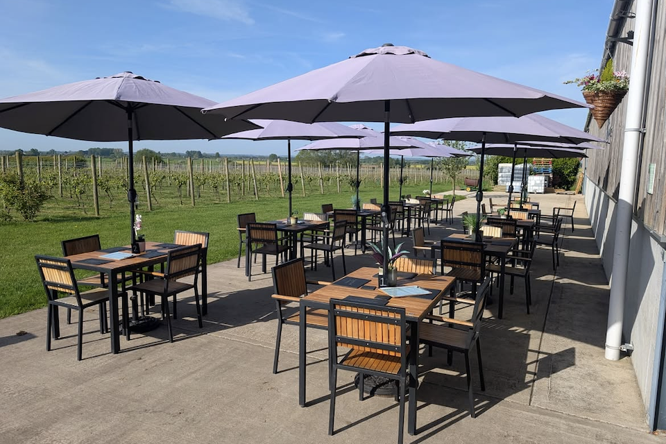 Laurel Vines Vineyard, Aike, Near Driffield