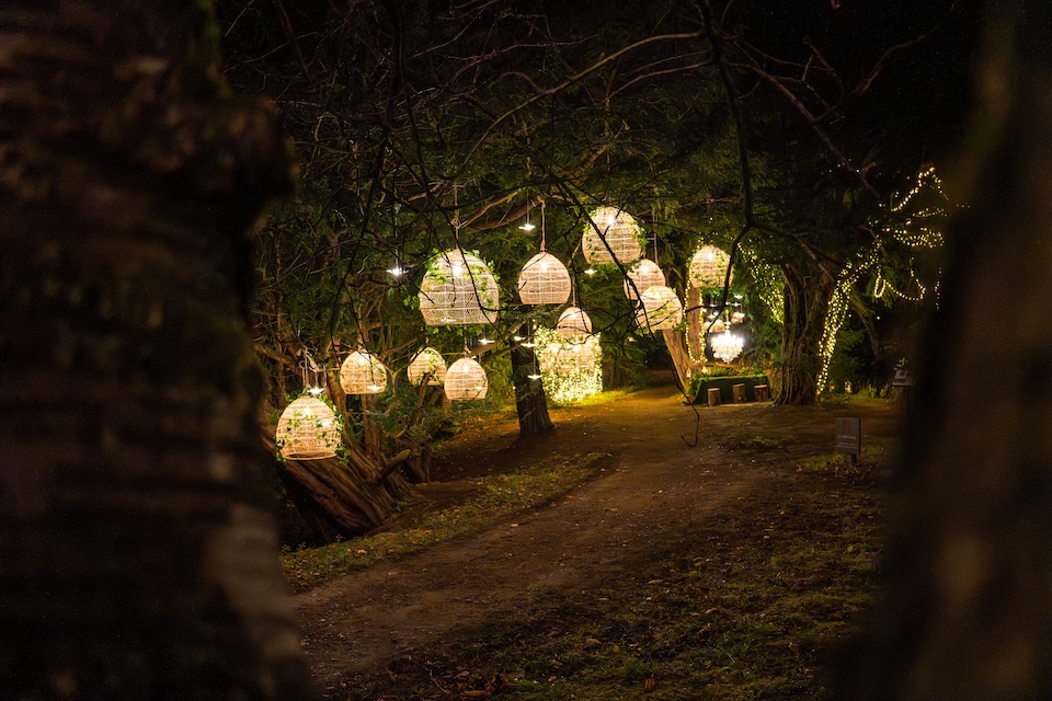 Luminescence 25-26 Swinton Estate - hanging birdcages